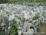 英德石場(chǎng) 銷(xiāo)售各種英石等園林假山用石01