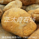 剛開(kāi)采出來(lái)的駁岸流水黃蠟石、溪流石