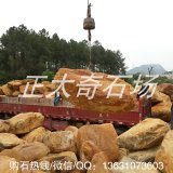 正太奇石場(chǎng)直銷(xiāo)英德黃蠟石 天然黃蠟石