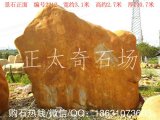  3.1米寬臥石景觀(guān)黃蠟石、刻字招牌石 編號2212