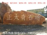  6.8米寬臥石園林黃蠟石、招牌刻字石 編號4049