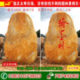  3米高園林景觀(guān)立石、刻字黃蠟石 編號5856