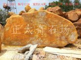  3.6米寬臥石黃蠟石、廣東產(chǎn)地直銷(xiāo) 編號1216