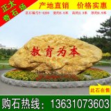 5.5米寬產(chǎn)地直銷(xiāo)黃蠟石 學(xué)?？套謩钪俱懢坝^(guān)石