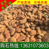 別墅園林公園駁岸、草坪路沿用景觀(guān)黃蠟石