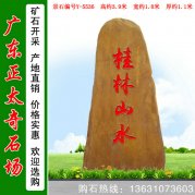 3.9米高廣東園林黃蠟石 景區刻字招牌石 編號Y-