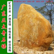2.6米高廣東黃蠟石 草坪點(diǎn)綴景觀(guān)石 編號A2-3910